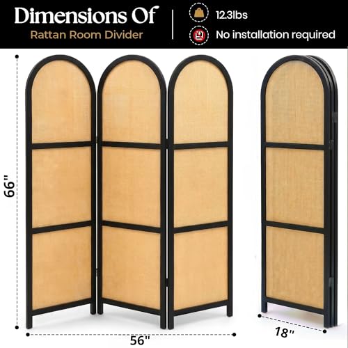 ELK & ELDER 3-Panel Room Divider | Folding Privacy Screen with Arched Dark Wood Frames and Light Woven Panels | Portable Divider for Home,Office, Living Room, Bedroom | 66" H x 56" W |Dark Wood/Beige ELK & ELDER