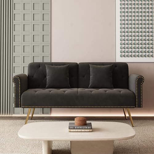 Modern Velvet 2 in 1 Futon Sofa Bed,Convertible Folding Sleeper Bed Couches with 2 Pillows,63" Tufted Recliner Love Seat with Golden Chrome Legs for Living Room Apartment Office (Black) Anwick