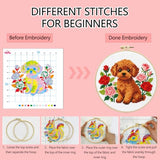 Zhenqing Brown Teddy Bear with Roses Cross Stitch Kit, 11CT Printed 24x24cm for Beginners, Floral Dog Embroidery Set with 20cm Hoop (70783)