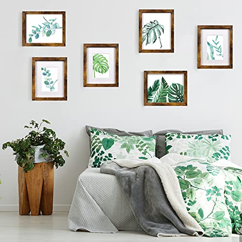 8x10 Picture Frame Brown Set of 6, Display Pictures 5x7 With mat or 8x10 Without Mat SESEAT