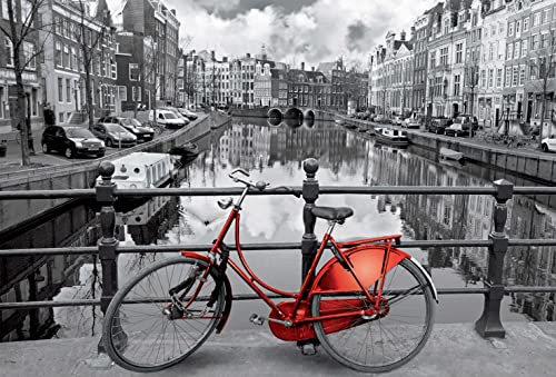 Educa Amsterdam 3000 Piece Puzzle