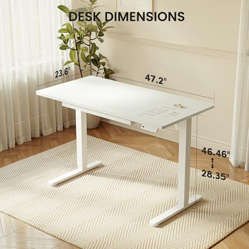 FEZIBO 48x24 inchs Electric Standing Desk - One-Piece Glass Top, Height Adjustable Workstation with 4 Memory Presets, Ergonomic Sit-to-Stand Table for Home Office & Gaming FEZIBO