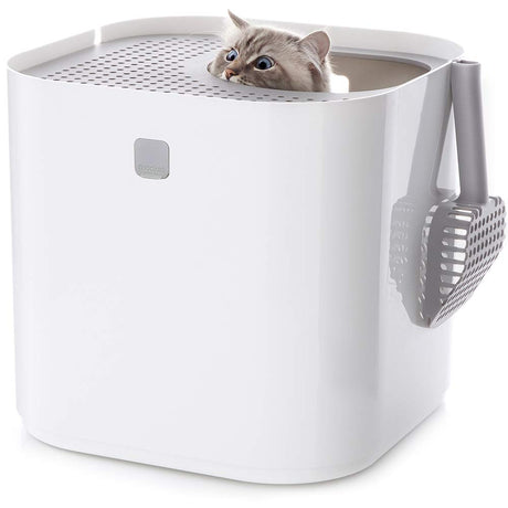 Modkat® Litter Box, Top-Entry, Full Height Seamless Base, Reusable Litter Liner, Sifting Litter Scoop, 2X Bamboo Charcoal Filters - White Modkat