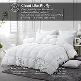 Luxurious White Solid Medium Weight, Twin Size Goose Feathers Down Comforter for All-Season Weather Duvet Insert, Premium Baffle Box, 100% Egyptian Cotton Cover, 55 oz. Fill Weight EGYPTIAN BEDDING