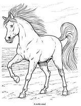 Wonderful World of Horses Coloring Book (Dover Animal Coloring Books) Dover Publications