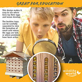 Wildlife World Interactive Wooden Bee House - Pollinator Bee Management System Wildlife World