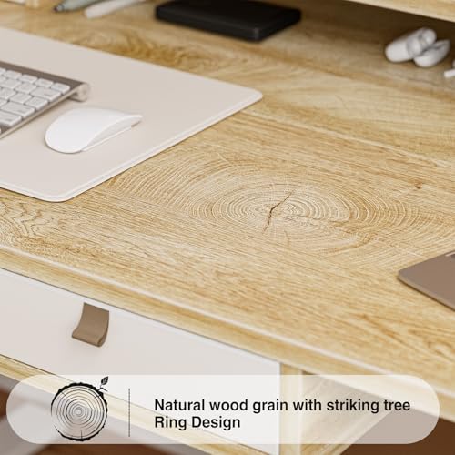 Grandder 47 Inch Electric Standing Desk with Four Drawers, Sit to Stand Up, Height Adjustable Desk with Storage Shelf for Home Office, Study, Ergonomic Adjustable Computer Desk, Oak Grandder
