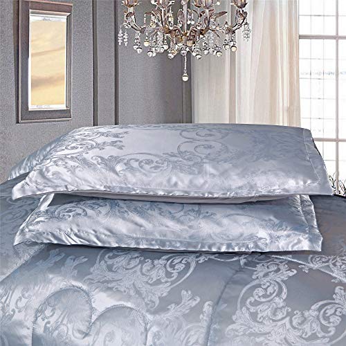 Raytrue-X Twin Comforter, Silver Silk Jacquard Bedding Comforter Sets, 3 Pieces Grey Lightweight Quilt, All Season Comforter for Twin Bed, Ultra Soft Microfiber, Matching 2 Pillow Shams, Twin/Twin XL Raytrue-X