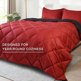 WQSPRING Queen Size Comforter Set, Reversible 3 Pieces Lightweight Soft Bedding Set for All Season, Premium Bed in a Bag Includes 1 Comforter (90"x90") and 2 Pillowcase (20"x26") WQSPRING