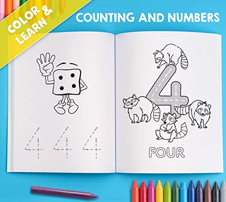 My Big Fun Coloring Book for Toddlers to Learn the Animals, Shapes, Colors, Numbers and Letters: Activity Workbook for Kids Ages 2-4 Years WoodArtSupply
