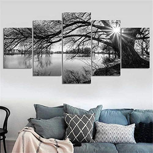 DIY 5D Full Diamond Art Kit,Black and White Tree Lake Surface Sunshine 5 Piece Multi Diamond Art Kits for Adults Paint with Diamonds Kits Diamonds Embroidery by Numbers 17.7x37.4 inch GOJOSOWIN
