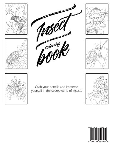 Insect colouring book: Colouring book for adults, teens and kids. Girls and boys who are animal lovers. Gizzy Books Ltd