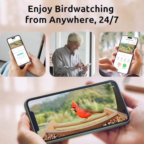 NETVUE Birdfy AI - Upgraded Smart Bird Feeder with Camera Solar Powered, Free AI Identify 6000+ Bird Species & Motion Detection, Eco-friendly & NETVUE