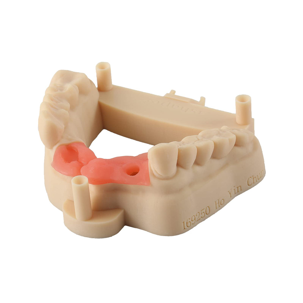 RESIONE 3D Printer Resin, F80 Elastic Resin 405nm UV-Curing Resin with High Elongation at Break High Resilience Photopolymer Resin for LCD DLP MSLA 3D Printing (Pink, 500g) RI RESIONE