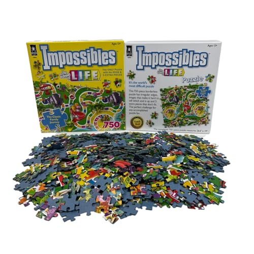 BePuzzled, Hasbro Impossibles Puzzle Featuring Imagery from The Classic Game of Life, a 750 Piece Borderless Puzzle for Advanced Puzzlers Ages 15 and Up Bepuzzled