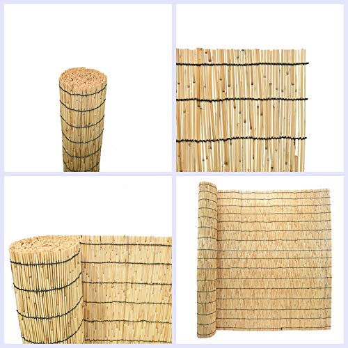 Mininfa Natural Reed Fencing, Eco-Friendly Reed Fence, 4 feet High x 13 feet Long, Reed Screen for Garden, Privacy Mininfa