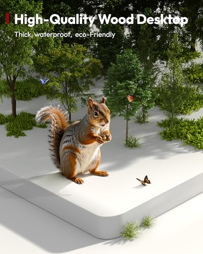 SANODESK Electric Standing Desk 79 x 32 Inches Height Adjustable Stand Up w/6-Button Controller Ergonomic Computer Desk with Splice Board for Home Office, White Frame + White Tabletop SANODESK