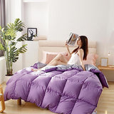 10.5 Tog All-Season Duvet Quilt - Soft and Comfortable Single/Doublr King Size for Spring, Summer, Autumn, Winter - Ideal Comfort Gift for Friends Generic