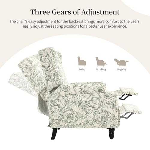 DREAMSIDEA Recliner Chair, Upholstered Wingback Floral Pushback Armchair with Adjustable Backrest & Footrest, Comfy Accent Chair for Small Spaces, Living Room, Bedroom (Rococo Green, Set of 1)