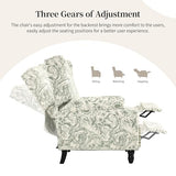 DREAMSIDEA Recliner Chair, Upholstered Wingback Floral Pushback Armchair with Adjustable Backrest & Footrest, Comfy Accent Chair for Small Spaces, Living Room, Bedroom (Rococo Green, Set of 1)