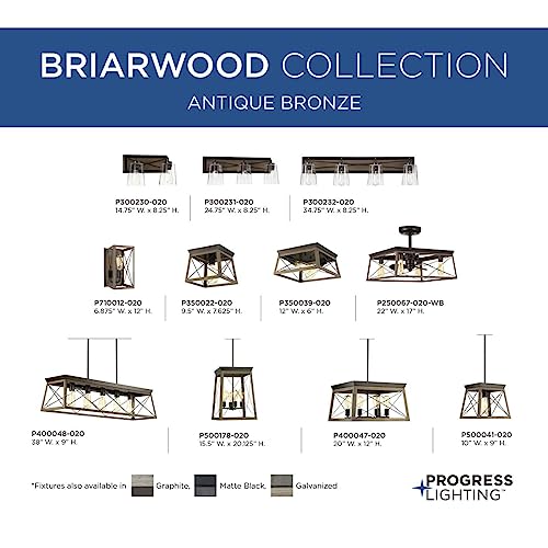 Progress Lighting P710012-020 Briarwood Antique Bronze One-Light Wall Sconce, Architectural Progress Lighting