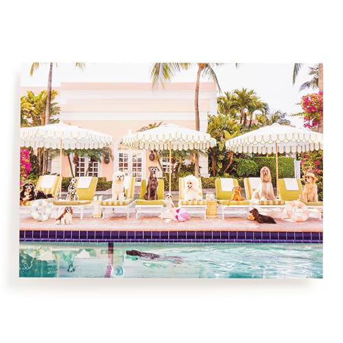 Galison Gray Malin Palm Beach – 1000 Piece Book Box Puzzle with Glamorous Palm Beach Dogs Photography Packaged in Magnetic Keepsake Book Sized Box Galison