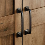 Sauder Miscellaneous 2-Door Swing Out Storage Pantry Cabinet, L: 32.17" x W: 17.13" x H: 72.09", Rural Pine Finish Sauder