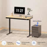 FLEXISPOT Comhar Electric Standing Desk with Drawer Desktop & Adjustable Frame w/USB Charge Ports (Bamboo-Look Laminate/Black, Wood) FLEXISPOT