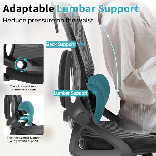 Nexthro Ergonomic Office Chair,Mesh Office Chair with Lumbar Support,High Back Desk Chair with Flip-up Arms,400 lbs Big and Tall Computer Chair with Headrest,Comfy Desk Chairs (Black) Nexthro