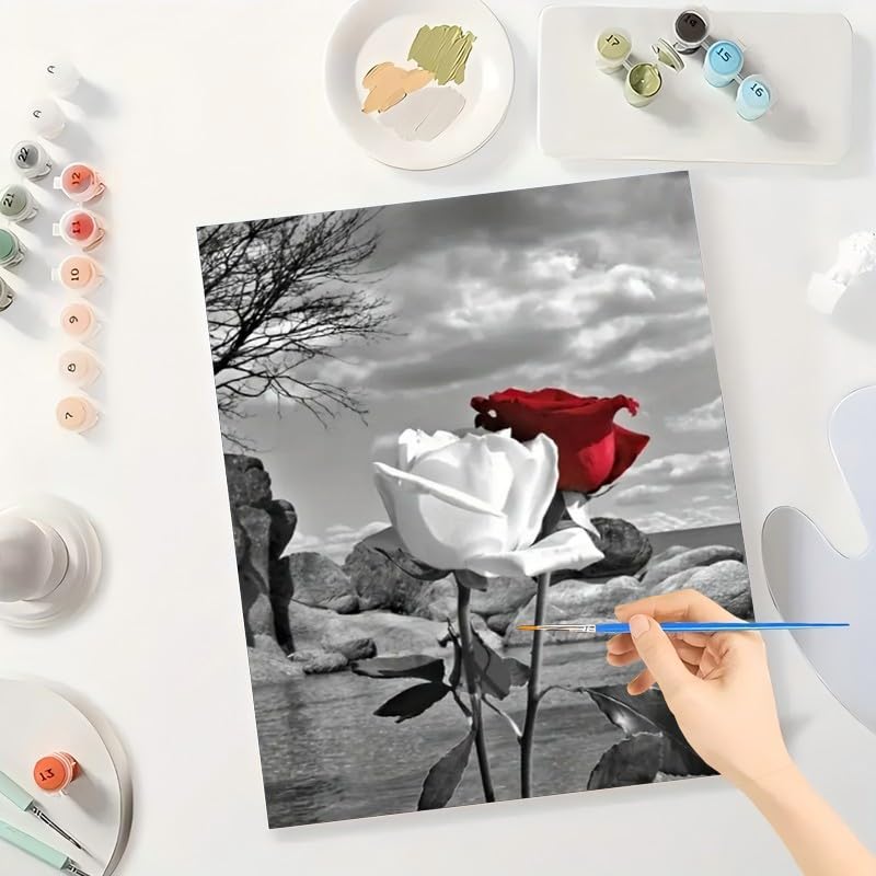 Romantic Rose Paint by Numbers Kit for Adults - DIY Red White Roses on Black and White Background Painting on Canvas 16x20 Inches, Acrylic Paint Set,Suitable for Beginners,Art for Decoration TAOPAOLAB