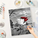 Romantic Rose Paint by Numbers Kit for Adults - DIY Red White Roses on Black and White Background Painting on Canvas 16x20 Inches, Acrylic Paint Set,Suitable for Beginners,Art for Decoration TAOPAOLAB