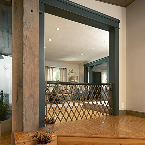 Evenflo Expansion Walk-Thru Room Divider Baby Gate (Farmhouse Collection) Evenflo