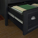 Bush Furniture Fairview 2 Drawer Lateral File Cabinet in Antique Black/Hansen Cherry, Home Office Storage for Letter, Legal, and A4-size Documents Bush Business Furniture