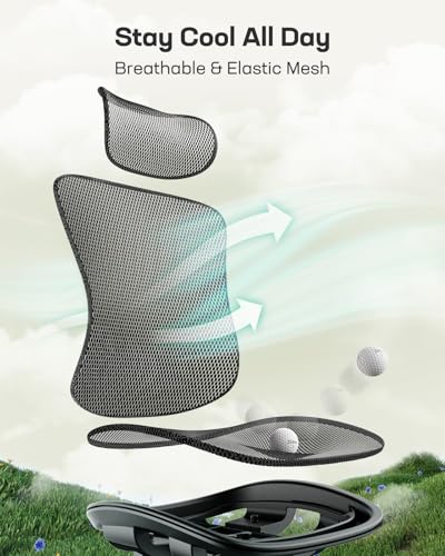Marsail Ergonomic Mesh Office Chair: Mesh Desk Chair with Adjustable Lumbar Support, 2D Headrest & Up and Down Armrest, Ergonomic Gaming Chair for Home Office, Black Marsail