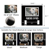 MYPAWLETS Dog/Cat Collar Memorial Frame with Paw Print Charm,Pet Loss Sympathy Gift,Pets Memorial Gift for Loss of Dog,Forever Loved Pet Keepsake Frame,Dogs Passing Away Gifts