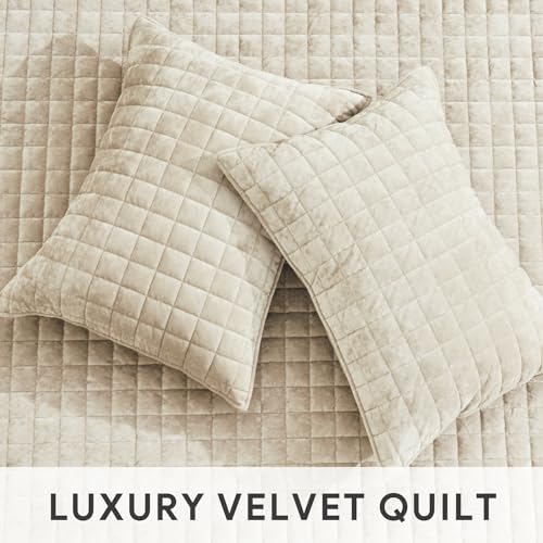 RECYCO Luxury Velvet Quilt Set King Size Bedding Sets, Ultra Soft Velvet Comforter Set, Lightweight Channel Box Stitch Oversized Bedspread Coverlet for All Season, with 2 Shams, Beige RECYCO