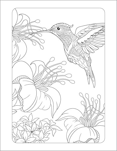 Anxiety Relief Coloring Book for Adults: Mindfulness Coloring to Soothe Anxiety