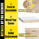 BeeCastle 10-Frame Complete Bee Hives and Supplies Starter Kit,Beehives for Beginners with Beehive Frames and Waxed Foundations (2 Deep Bee Boxes & 1 Medium Super Bee Box) BeeCastle