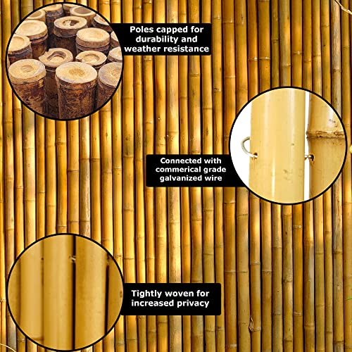 Backyard X-Scapes Natural Bamboo Fencing Decorative Rolled Fence Panel 0.75 in D x 3 ft H x 8 ft L Backyard X-Scapes