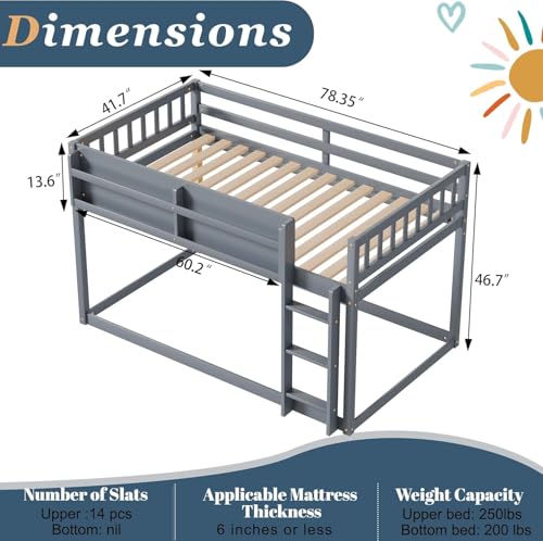 Duxelifin Twin Low Bunk Beds for Kids, Wooden Bunk Bed Frame Twin Over Twin, Convertible Floor Bunk Bed with Storage Shelf & Ladder, No Box Spring Needed (Grey) Duxelifin