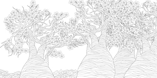 The Splendor of Trees Coloring Book (Calm Coloring: Natural Wonders) White Star Publishers
