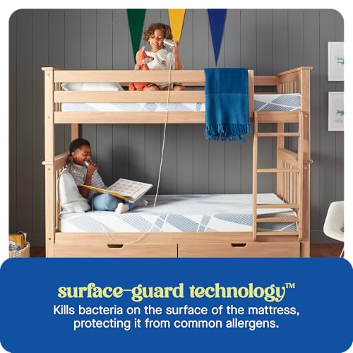 Sealy Dreamlife 8” Foam Mattress-in-a-Box, Queen, SealyComfort Gel Memory Foam, Surface-Guard Technology, Breathable Comfort Sealy