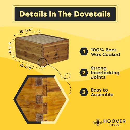 Hoover Hives: The Original Beeswax Coated Beehive Kit. Includes 2 Deep & 1 Medium Boxes with Wooden Frames & Heavy Wax Coated Foundations. Easy Assembly with Predrilled Holes & Screws (Unassembled) Hoover Hives