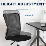FDW Home Office Chair Mid Back Mesh Desk Chair Armless Computer Ergonomic Task Rolling Swivel Chair Back Support Adjustable Modern with Lumbar Support,Black FDW