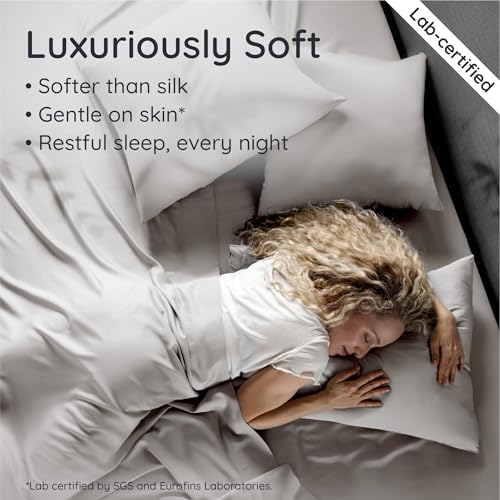 Bambaw Queen Sheet Set – 4pcs 100% Viscose Derived from Bamboo Sheets Set, Cooling Sheets for Night Sweats, Soft Queen Sheets, Hotel Luxury Bed Sheets Set, 16'' Deep Pockets (Moonlight Gray) Bambaw
