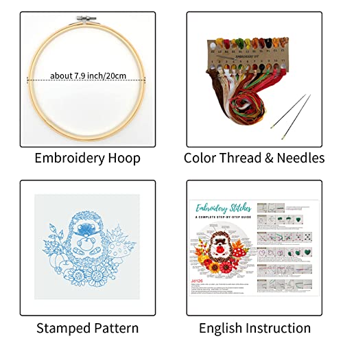 Louise Maelys Animal Embroidery Kits for Beginners with Autumn Hedgehog Pattern,Adults Starter Cross Stitch Kit DIY Needlepoint