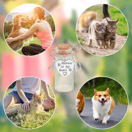 DELORIGIN 2pcs Pet Hair Glass Memorial Bottle Wishing Bottle with Heart Pendants and Cork Stopper Dog Cat Glass Tube Keepsake Memorial Urn Pet Sympathy Glass Vial Remembrance Gift for Pet Ashes Hair DELORIGIN