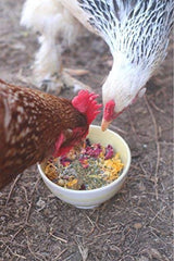 Pampered Chicken Mama Best Eggs Ever! Nesting Herbs for Chickens (10 Ounces) Calcium Supplement for Chickens | Chicken Feed Supplies, Hen Treats for Coops Pampered Chicken Mama