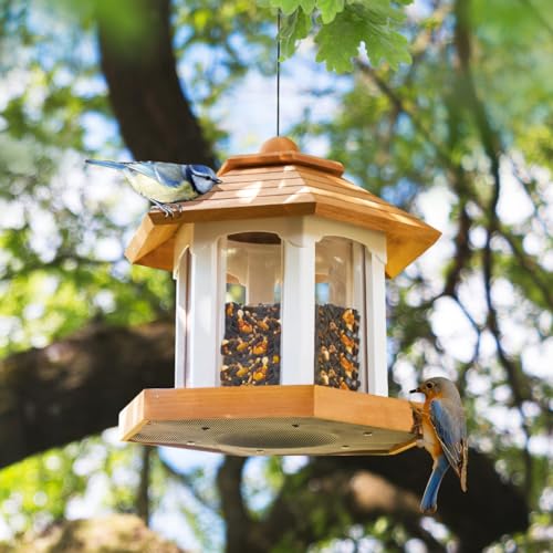 Cedar Alpha Delux Large Gazebo Hanging Bird Feeder for Outside- Rust Proof- Lifetime Durability - Large Compacity - Sunflower Seeds - All Birds Available (6 Lbs Capacity DIY Kit) - WoodArtSupply