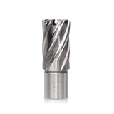 Luckyway 7/8 Inch Diameter x 1 Inch Depth of Cut Cyclone High Speed Steel Annular Cutter, 3/4 Inch Weldon Shank Luckyway